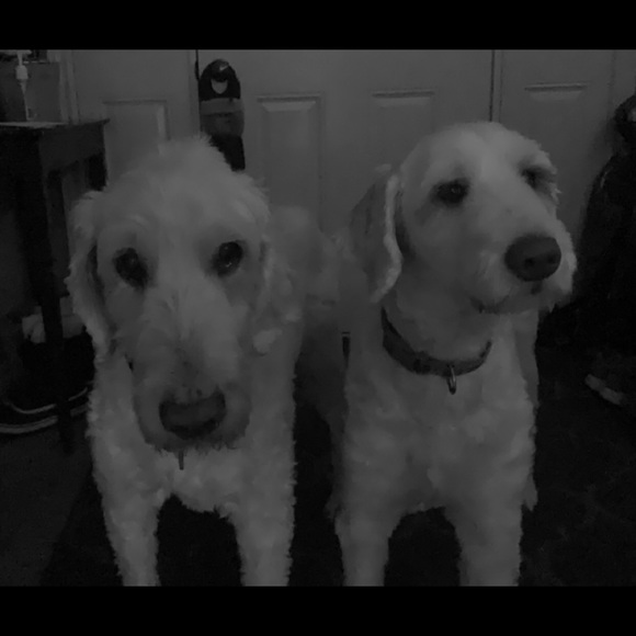 Meet your Posher, Julia - Picture 1 of 1